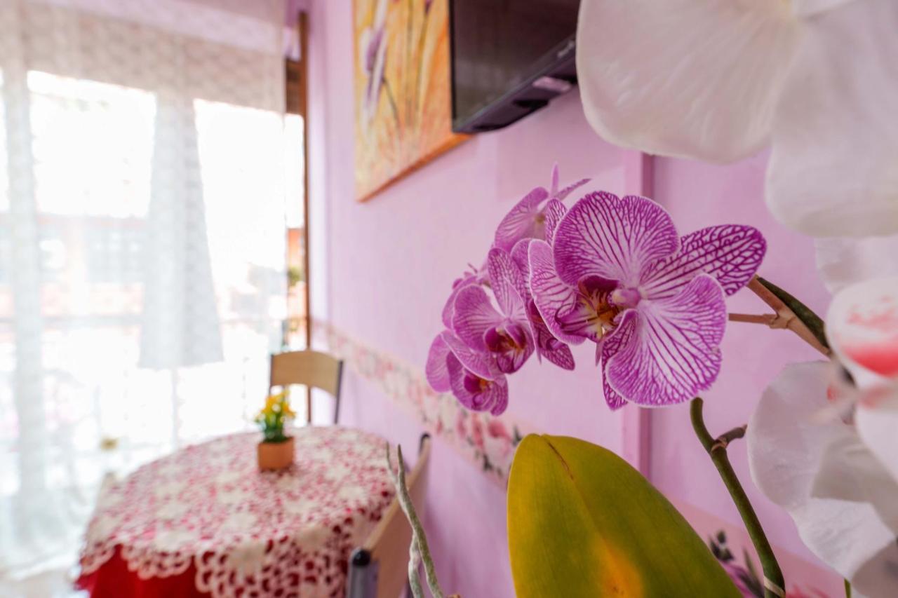 Bed And Breakfast Dolce Vita ボローニャ エクステリア 写真